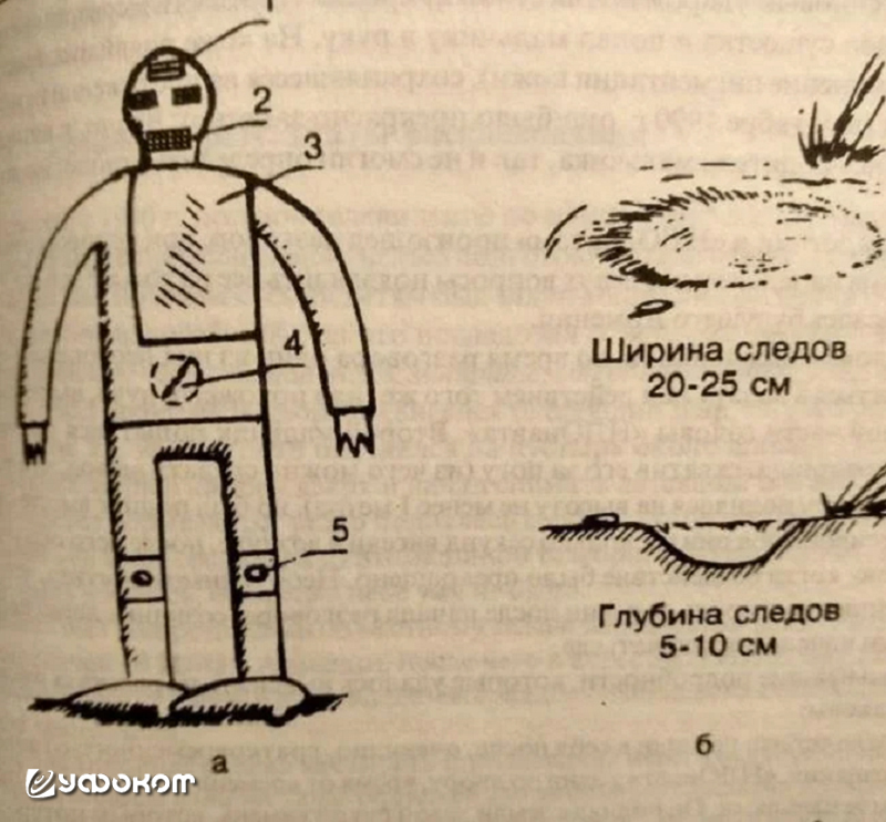 «Робот» и оставшиеся на почве следы [10].