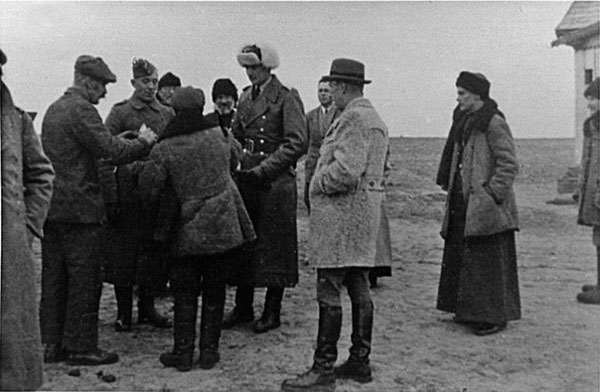 Передача Хербсту прошения от населения Рожковки. 