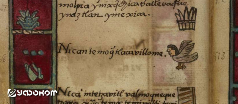 Codice Aubin. Надпись на языке науатль, записанная латиницей, гласит: «Nican temoque tlacahuillome» («Спустились летающие люди»).