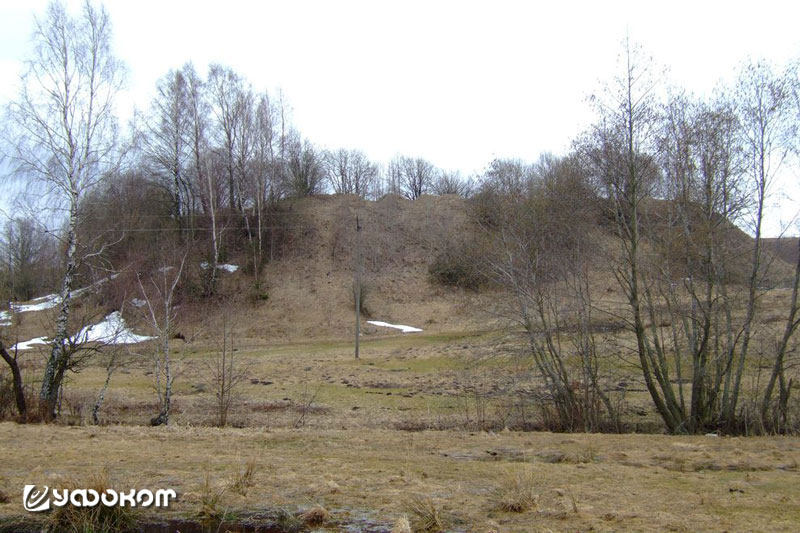 Фото 1. Городище в Гольшанах. Ошмянский р-н, Гродненская обл. Фото И. Климкович, 2019 год.