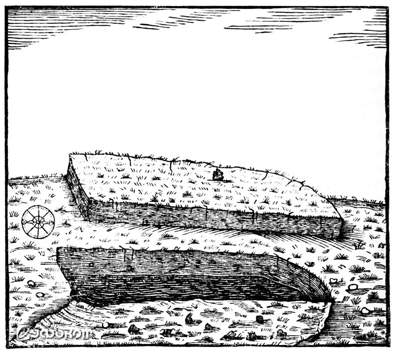 Рисунок профессора Дроссандера.