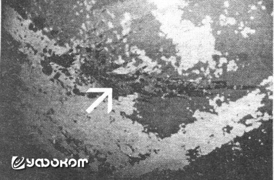 Следы разлитой на потолке туши. Фото В. Репецкого.