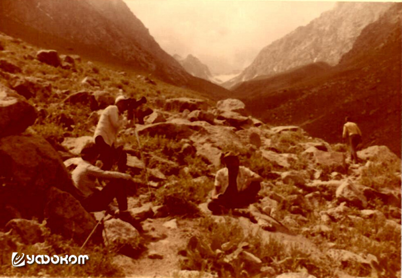 image1.jpg image1.jpg