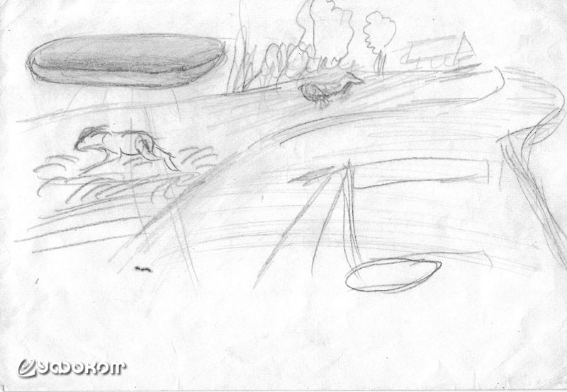 image5.jpg
