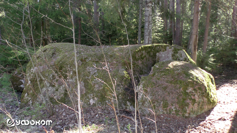 2-cherepaha.jpg