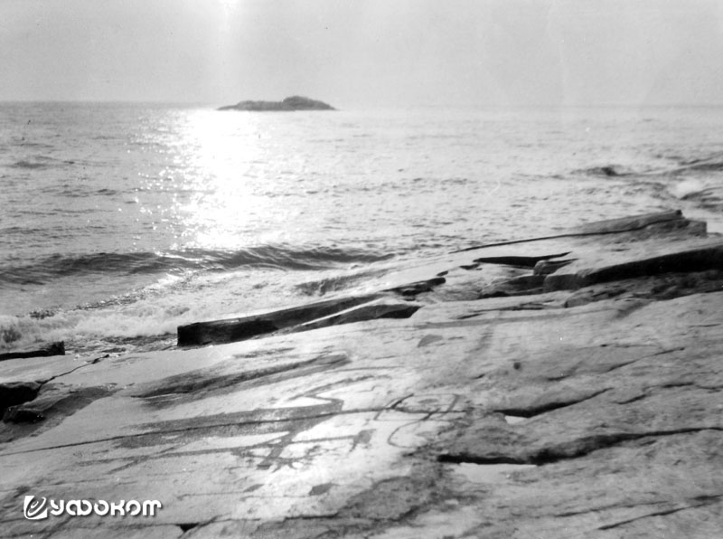 image11.jpg
