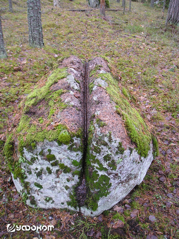 4.jpg 4.jpg