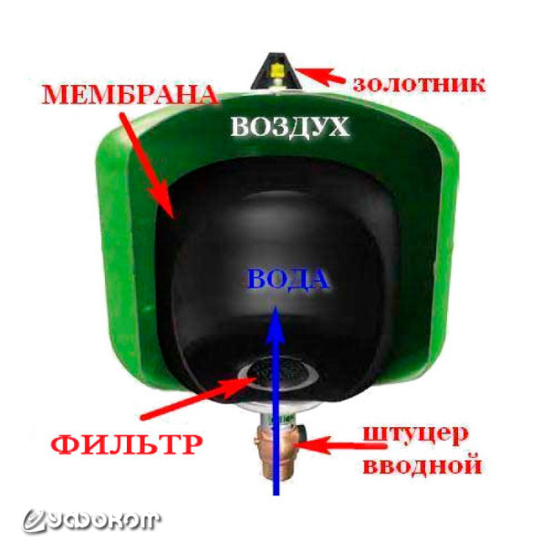image5.jpg