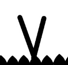 image4.jpeg image4.jpeg