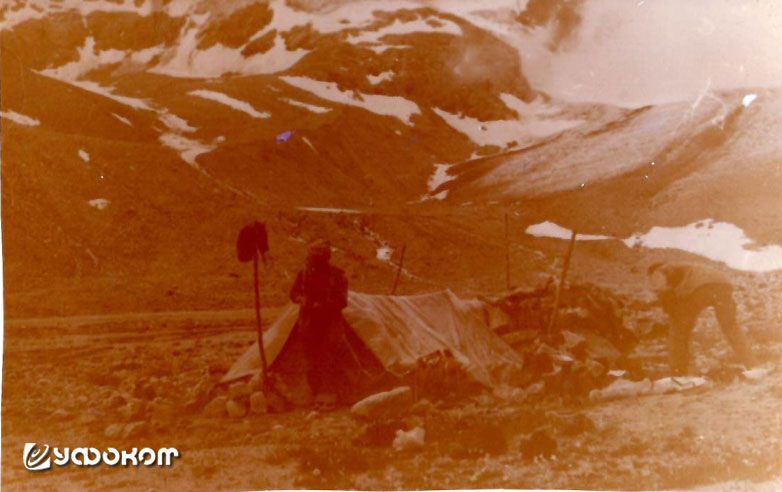 image1.jpg