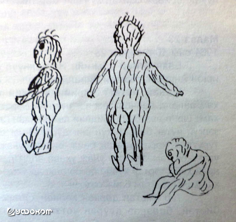 Рисунки встреч с алмасом.